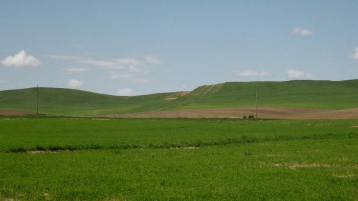 У казахстанских банков изымают неиспользуемые сельхозземли
                26 марта 2022, 18:30