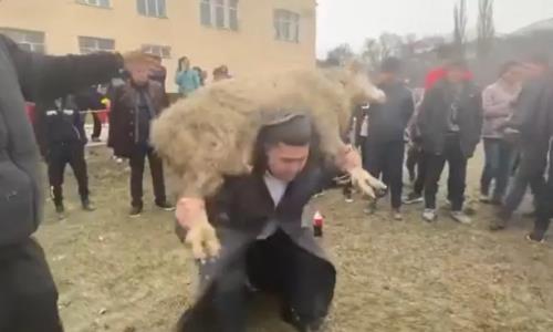 Аким удивил жителей Алматинской области и поднял барана 50 раз. Видео