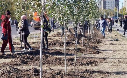 В 2022 году в Караганде планируют высадить более 4 000 деревьев