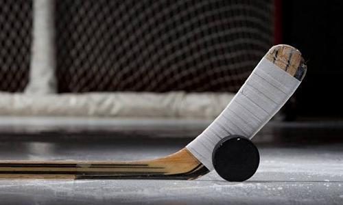 Вынесено наказание ударившему 12-летнего хоккеиста тренеру казахстанского клуба