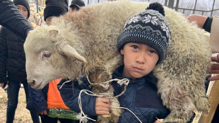 35 раз поднял ягненка 8-летний мальчик в Талдыкоргане
                30 марта 2022, 05:00