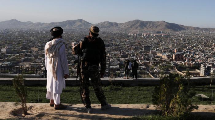Выращивание мака запретили на всей территории Афганистана
                03 апреля 2022, 13:56