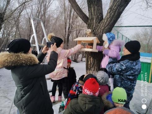 Кормушки для птиц установили на территории школы в Карагандинской области