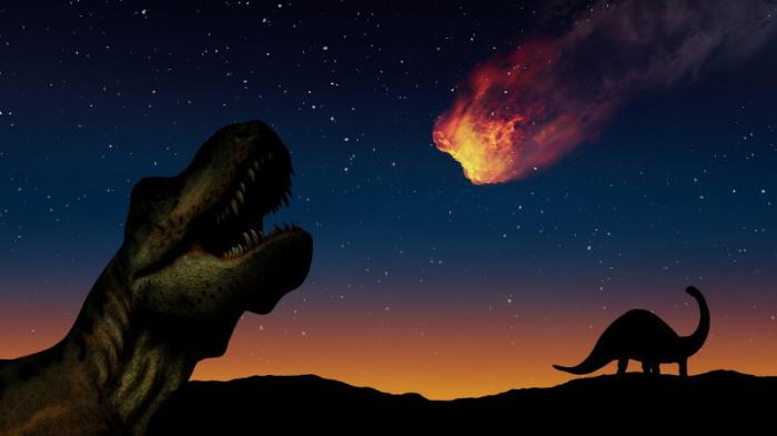 Найдены останки динозавра, погибшего от удара астероида
                07 апреля 2022, 19:33