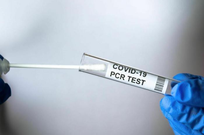 12 казахстанцев заболели коронавирусом за сутки