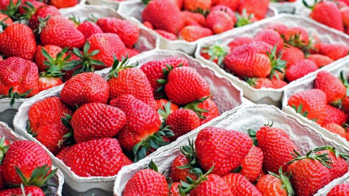 Нутрициолог назвала опасные весной фрукты и ягоды
                24 апреля 2022, 07:35