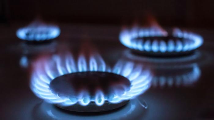 Венгрия согласилась оплачивать российский газ в рублях
                28 апреля 2022, 11:55