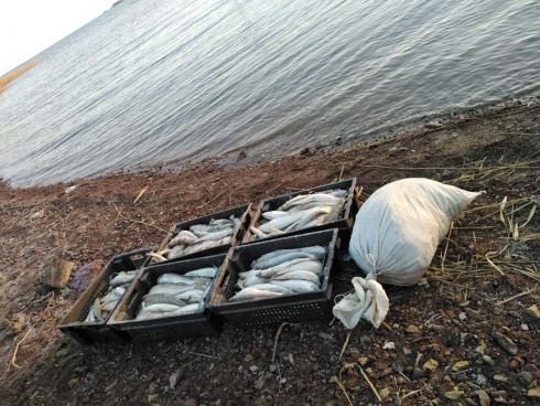 19 кг рыбы изъяли у браконьера на озере Балхаше