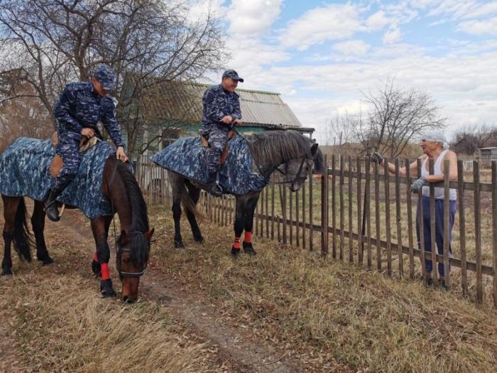Сотрудники кавалерийского отделения полиции  начали патрулирование дач Петропавловска