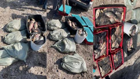 280 кг рыбы изъяли у браконьера в Карагандинской области