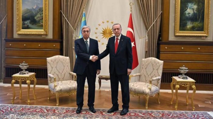 Эрдоган принял приглашение Токаева посетить Казахстан
                10 мая 2022, 21:54
