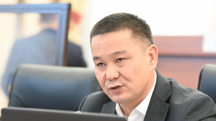 Пресс-секретарь Жапарова сделал предупреждение кыргызским депутатам после слов о Казахстане
                11 мая 2022, 17:14