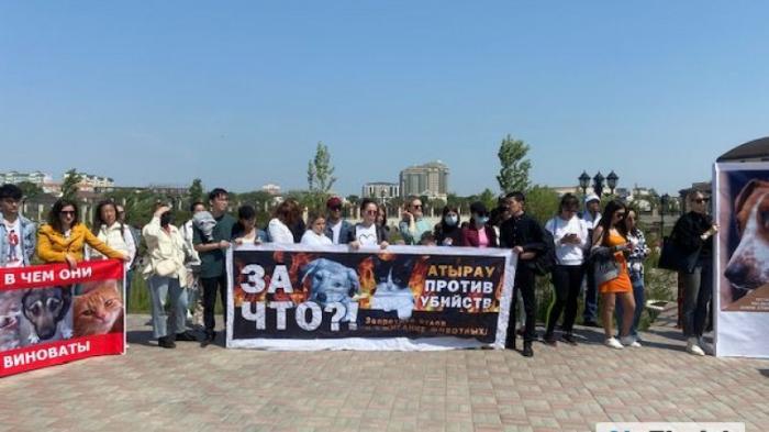 Противники истребления собак вышли на митинг в Атырау
                15 мая 2022, 03:27