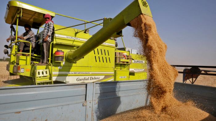 Индия ввела запрет на экспорт пшеницы
                15 мая 2022, 08:17
