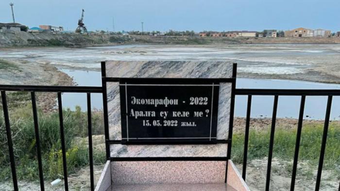 Зарезали барана: в Кызылординской области провели обряд для возрождения Аральского моря
                17 мая 2022, 16:51