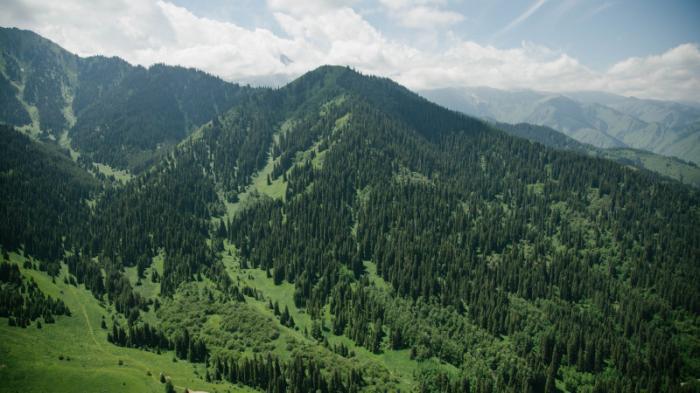 Прокуроры предложили запретить стройку в горах Алматы
                19 мая 2022, 11:32