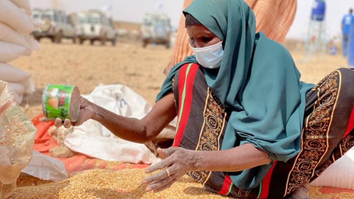 В ООН предупредили о надвигающемся голоде в Африке
                19 мая 2022, 13:03