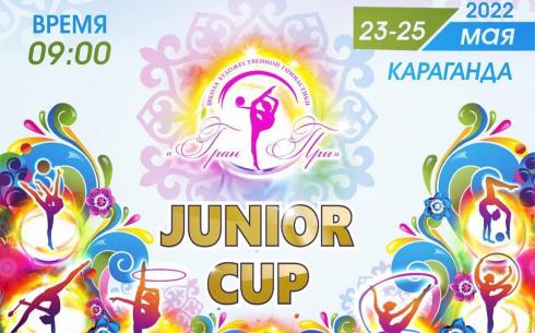 В Караганде пройдёт открытый Чемпионат по художественной гимнастике JUNIOR CUP