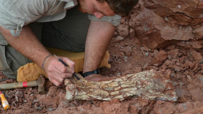 Останки доисторического существа обнаружили в Аргентине
                25 мая 2022, 11:34