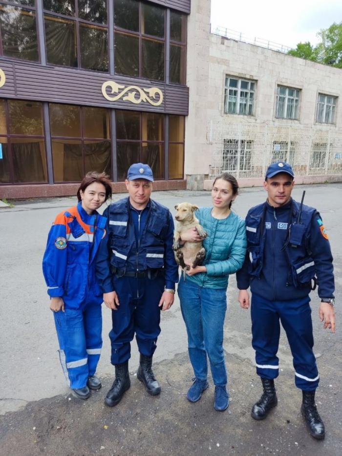 Североказахстанские спасатели вытащили из коллектора дворняжку