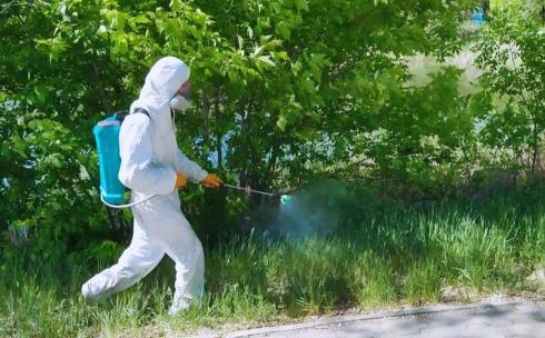 В Центральном парке Караганды проводится дезинсекция против комаров и других насекомых