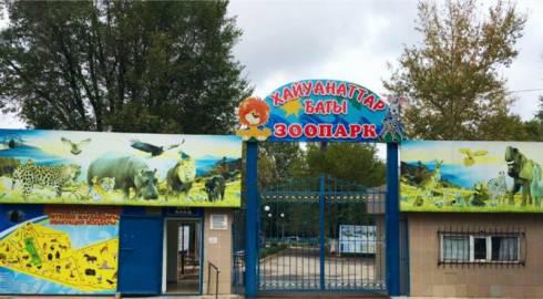 1 июня в карагандинском зоопарке будет бесплатный вход для детей до 14 лет