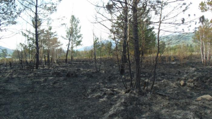 Почти 300 гектаров леса погибло в пожаре в Риддере: В ВКО вынесли приговор виновнику
                26 мая 2022, 15:58