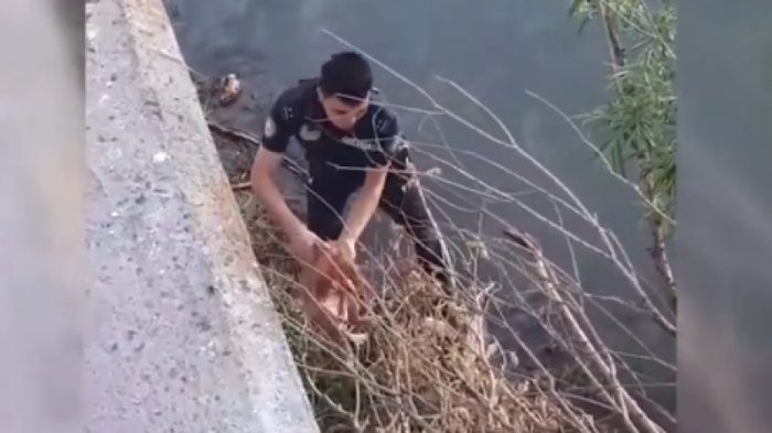 Спасение кота из реки полицейским сняли на видео в Усть-Каменогорске
                27 мая 2022, 08:32