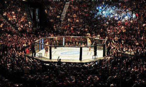Экс-бойца UFC обвиняют в убийстве