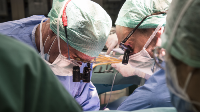 Новый метод трансплантации печени разработали швейцарские ученые
                01 июня 2022, 14:01