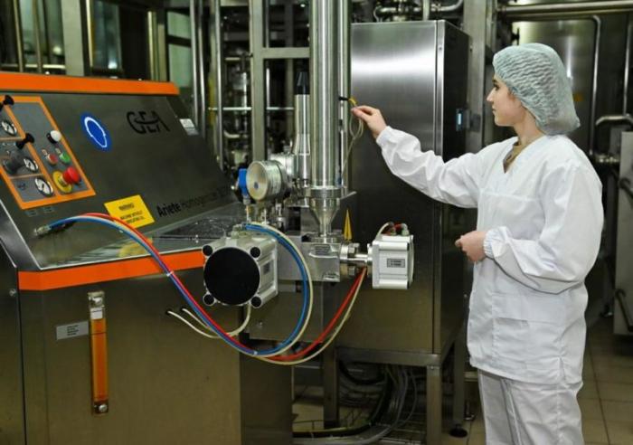 В СКО заработал молочный завод по выпуску сыров