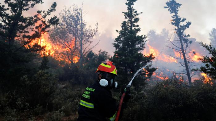 Лесной пожар вспыхнул в Афинах
                05 июня 2022, 15:08