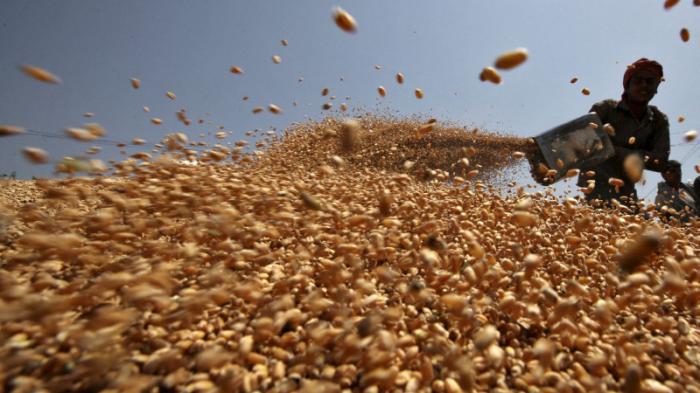 Глава ВТО предупредила о продлении продовольственного кризиса
                09 июня 2022, 07:40