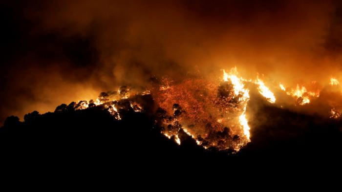 Более 2 тысяч человек эвакуировали из-за лесного пожара в Испании
                09 июня 2022, 19:52
