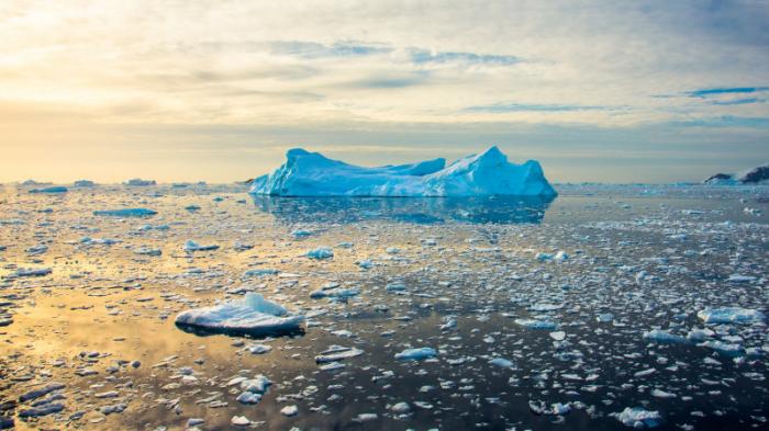 Антарктические ледники тают самыми быстрыми темпами за 5500 лет - ученые
                10 июня 2022, 16:32
