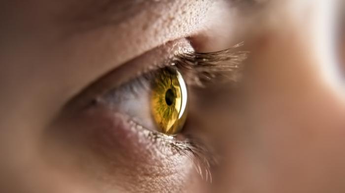 Нейробиологи обнаружили новые факторы, влияющие на остроту зрения
                13 июня 2022, 19:54