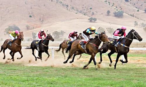 В Казахстане погибла участница конных соревнований