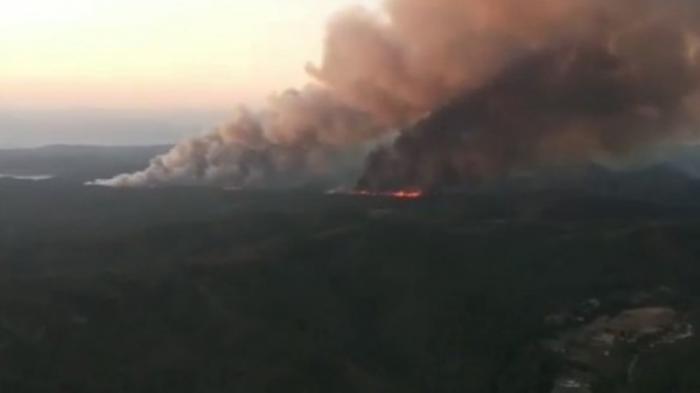Крупный лесной пожар вспыхнул на юге Турции
                22 июня 2022, 03:15