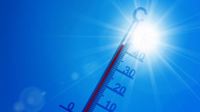 До 45 градусов: очень сильную жару прогнозируют в Казахстане
                22 июня 2022, 11:36