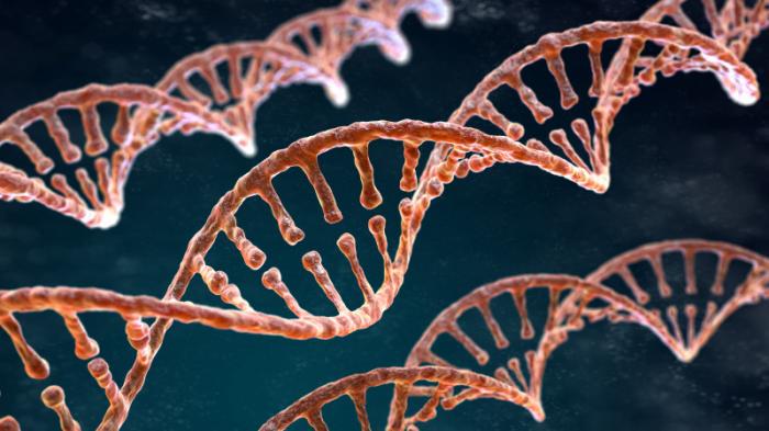 Ученые раскрыли, как работает человеческий геном
                24 июня 2022, 19:51