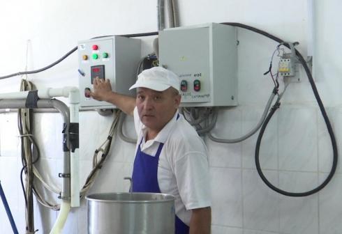 Экологически чистую молочную продукцию выпускают в Абайском районе