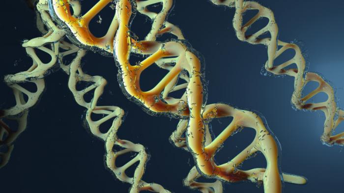 Ученые выявили новые генные мутации, вызывающие нарушения развития
                28 июня 2022, 23:42