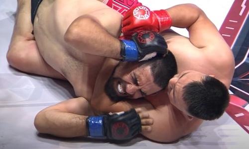 Первый казах в истории UFC за минуту задушил бойца из Азербайджана. Видео