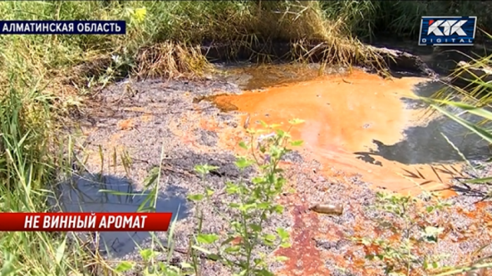 Зловонная вода с винного завода испортила жизнь сельчанам в Алматинской области
                02 июля 2022, 02:01
