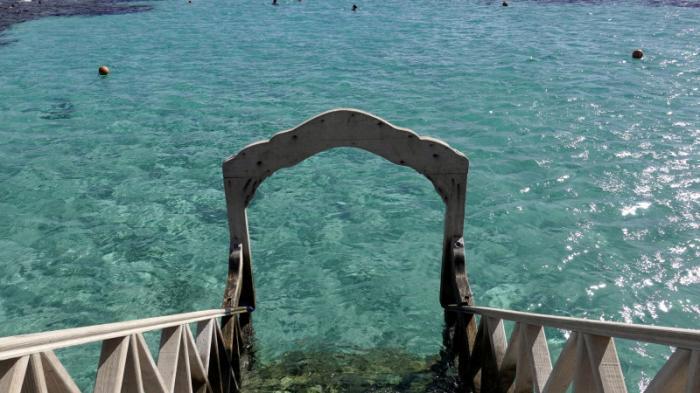 Власти Египта закрыли несколько пляжей после нападения акул
                04 июля 2022, 09:05