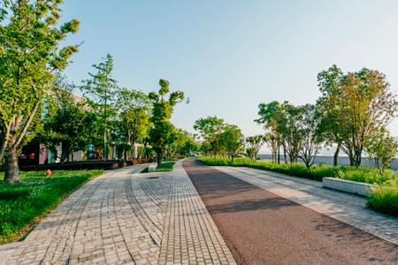 Четыре новых парка появится в Алматы