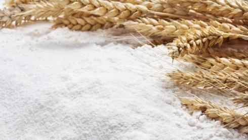 Казахстан вводит ограничения на вывоз пшеницы и муки