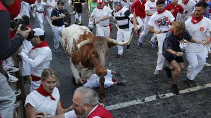Семь человек пострадали во время забега быков на фестивале в Испании
                10 июля 2022, 07:09