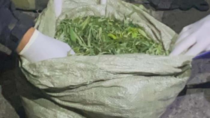 Более 10 килограммов марихуаны изъяли у двух жителей Туркестанской области
                12 июля 2022, 20:12