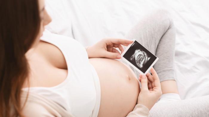 Создан искусственный интеллект для диагностики врожденных дефектов эмбриона
                15 июля 2022, 19:11